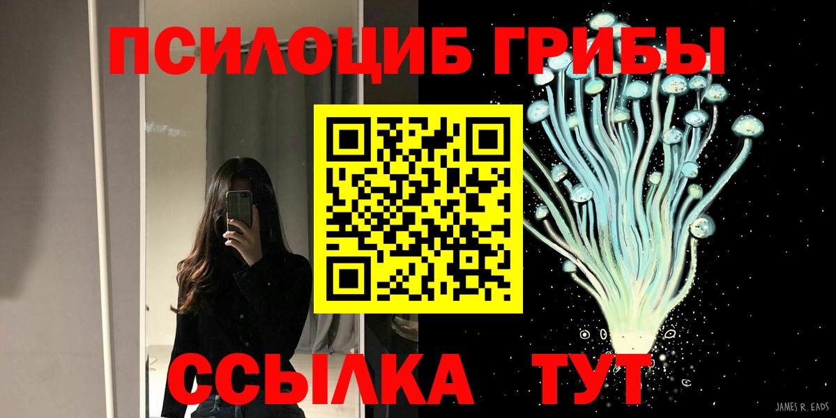 Галлюциногенные грибы прущие грибы Котлас