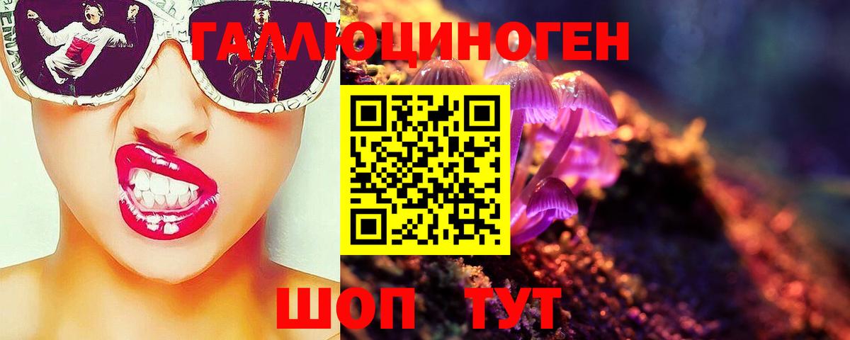 Котлас  Галлюциногенные грибы прущие грибы  Вход с VPN 